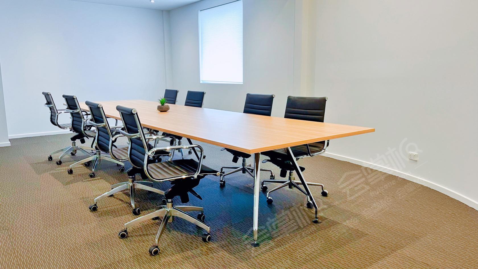 Large Conference/Meeting Room