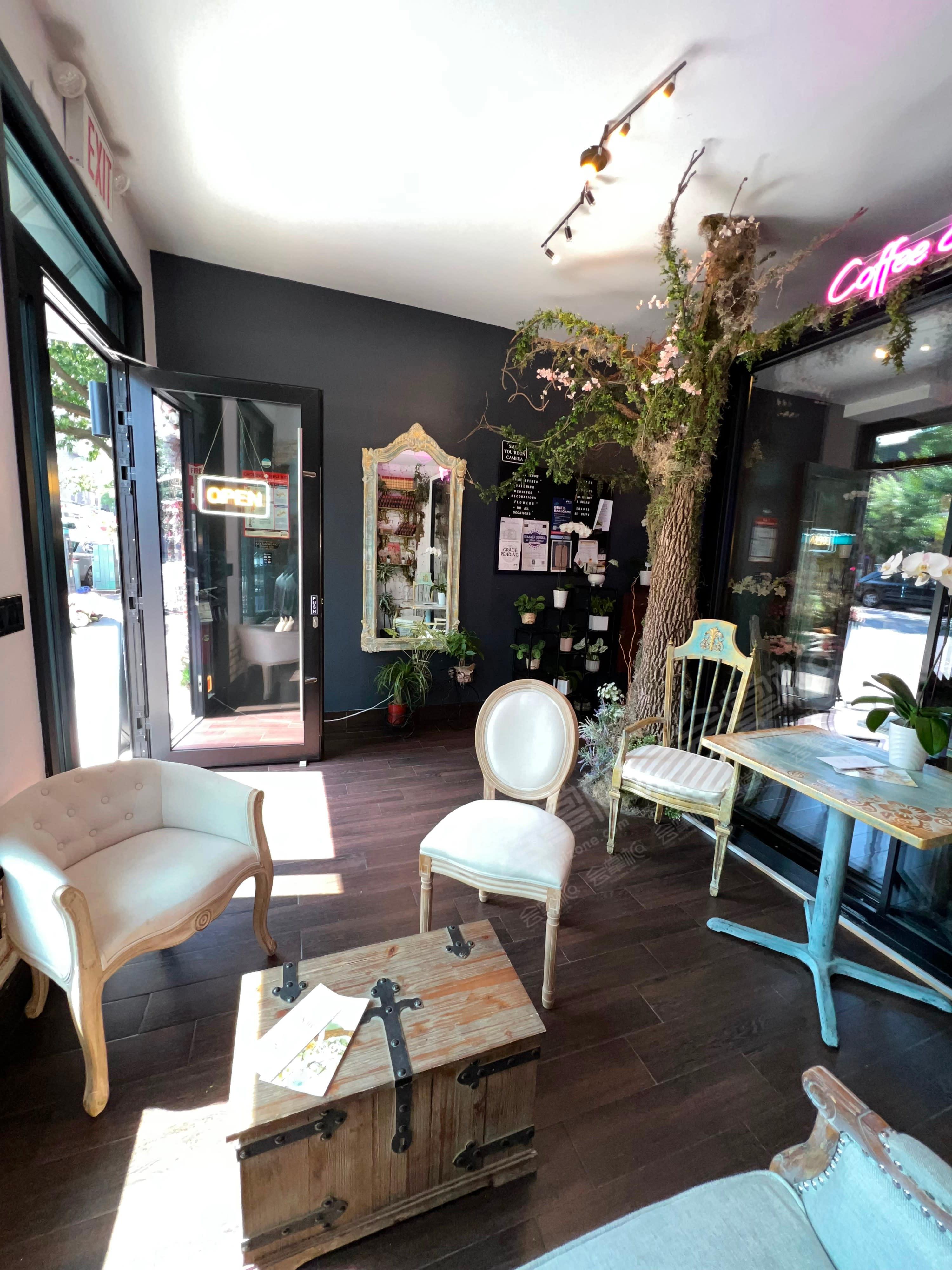 Avant-Garde Whimsical Coffee Shop in Brooklyn
