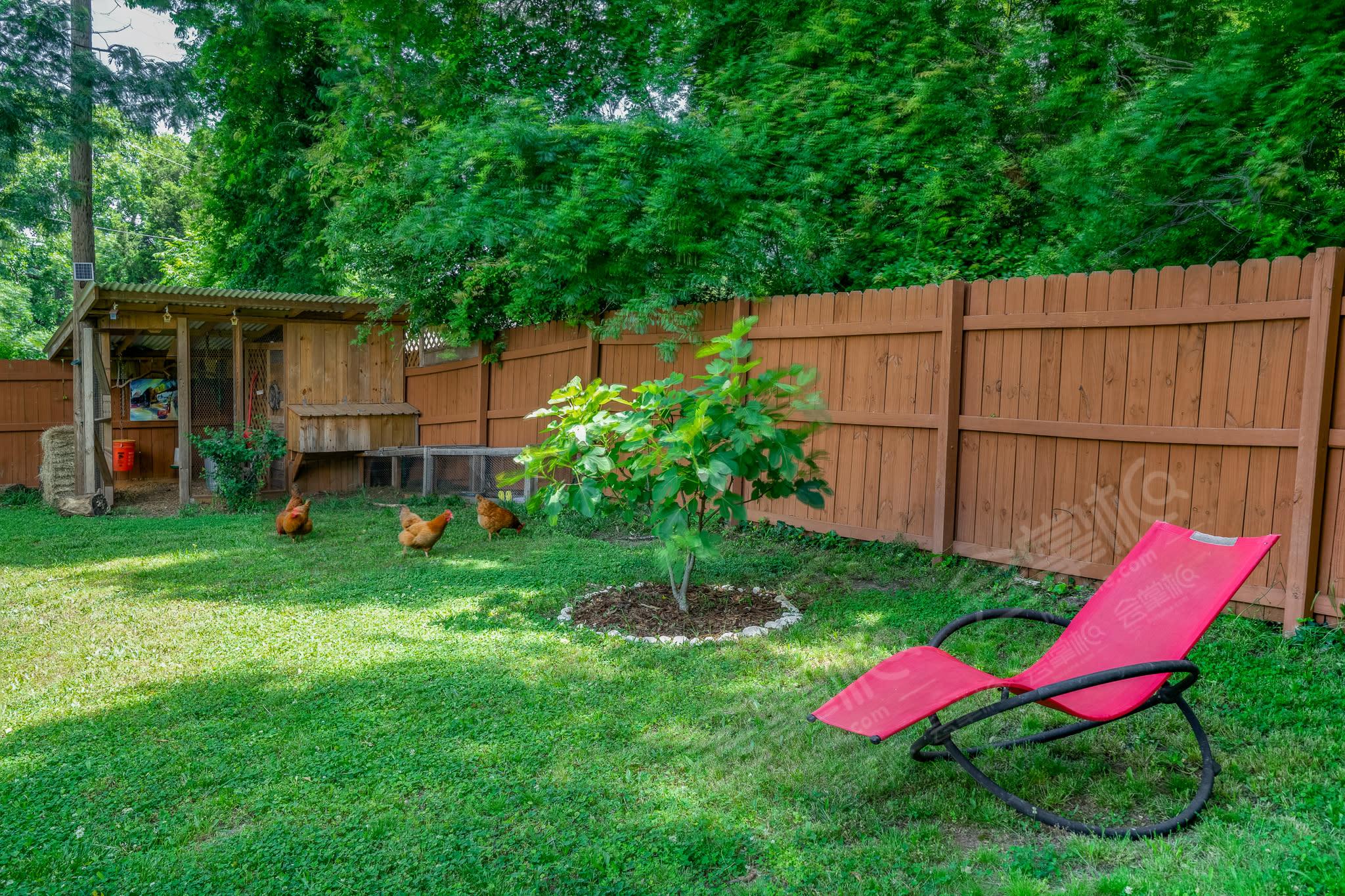 Huge Private Backyard w/ Hens + Indoor Prep Area and Free Parking! 2 Miles From Airport, 5 min from Tyler Perry Studios and 15 min to Downtown Atlanta.