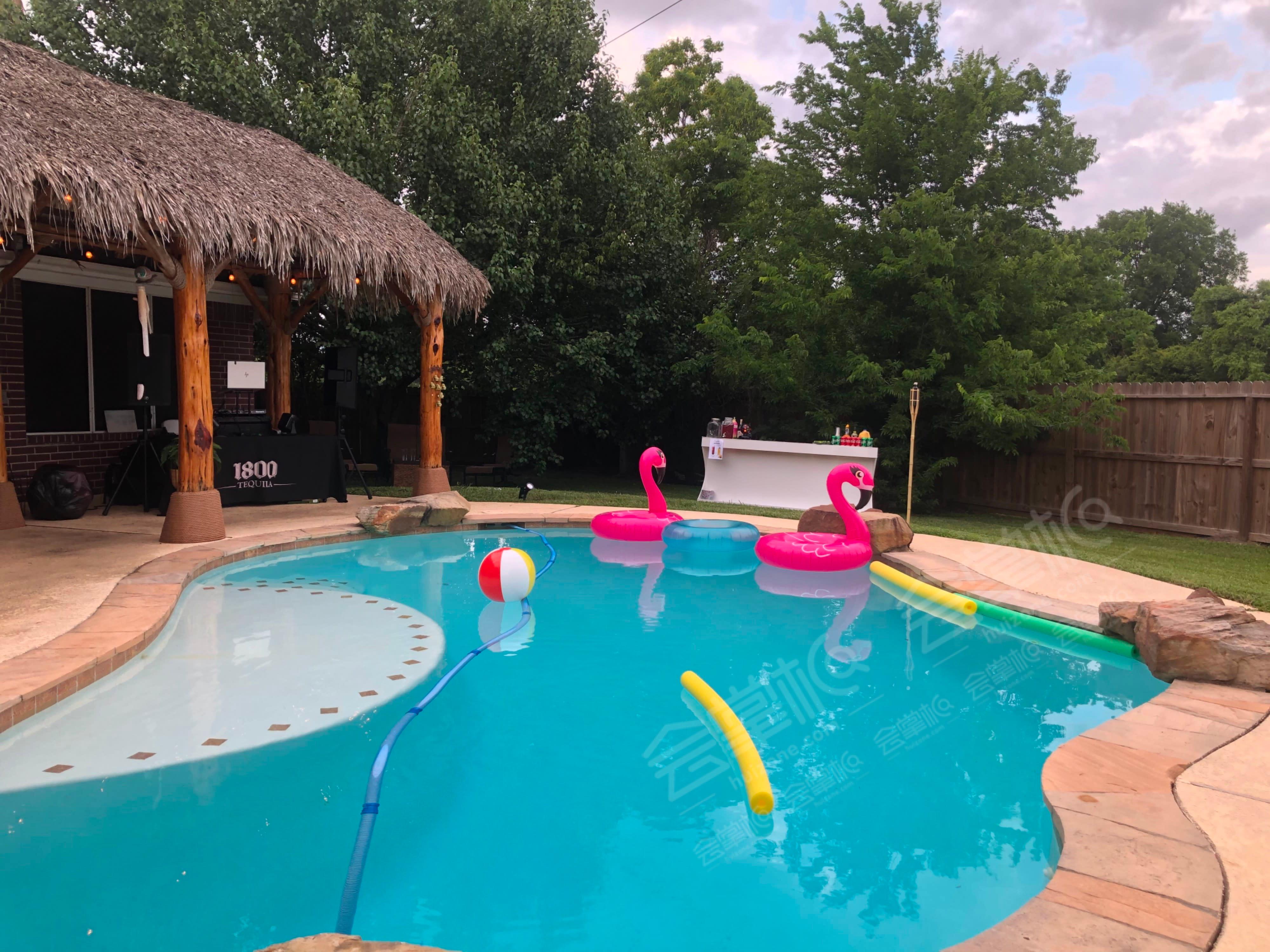 Pearland paradise- salt water pool and palapa