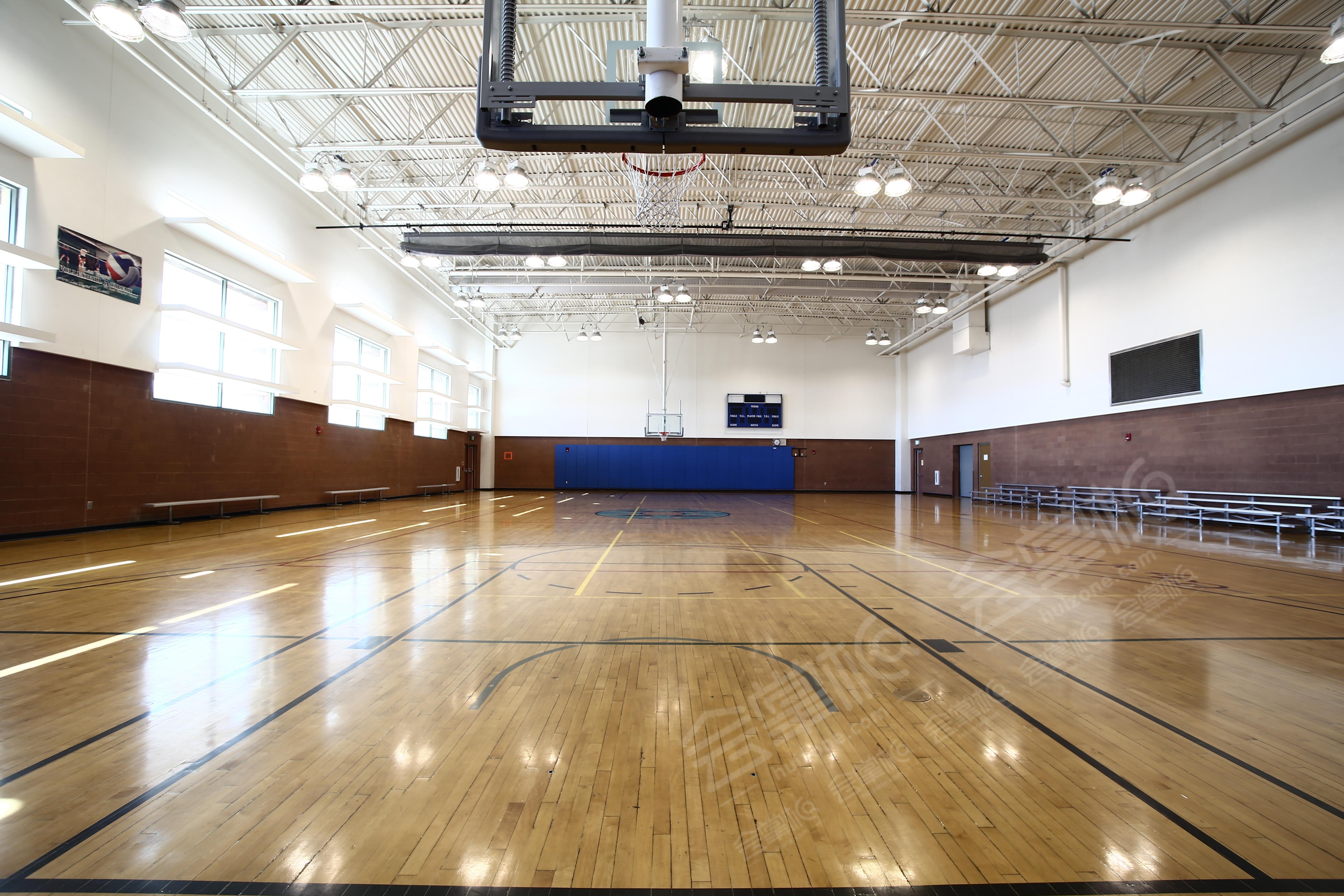 Top of the Line Gymnasium