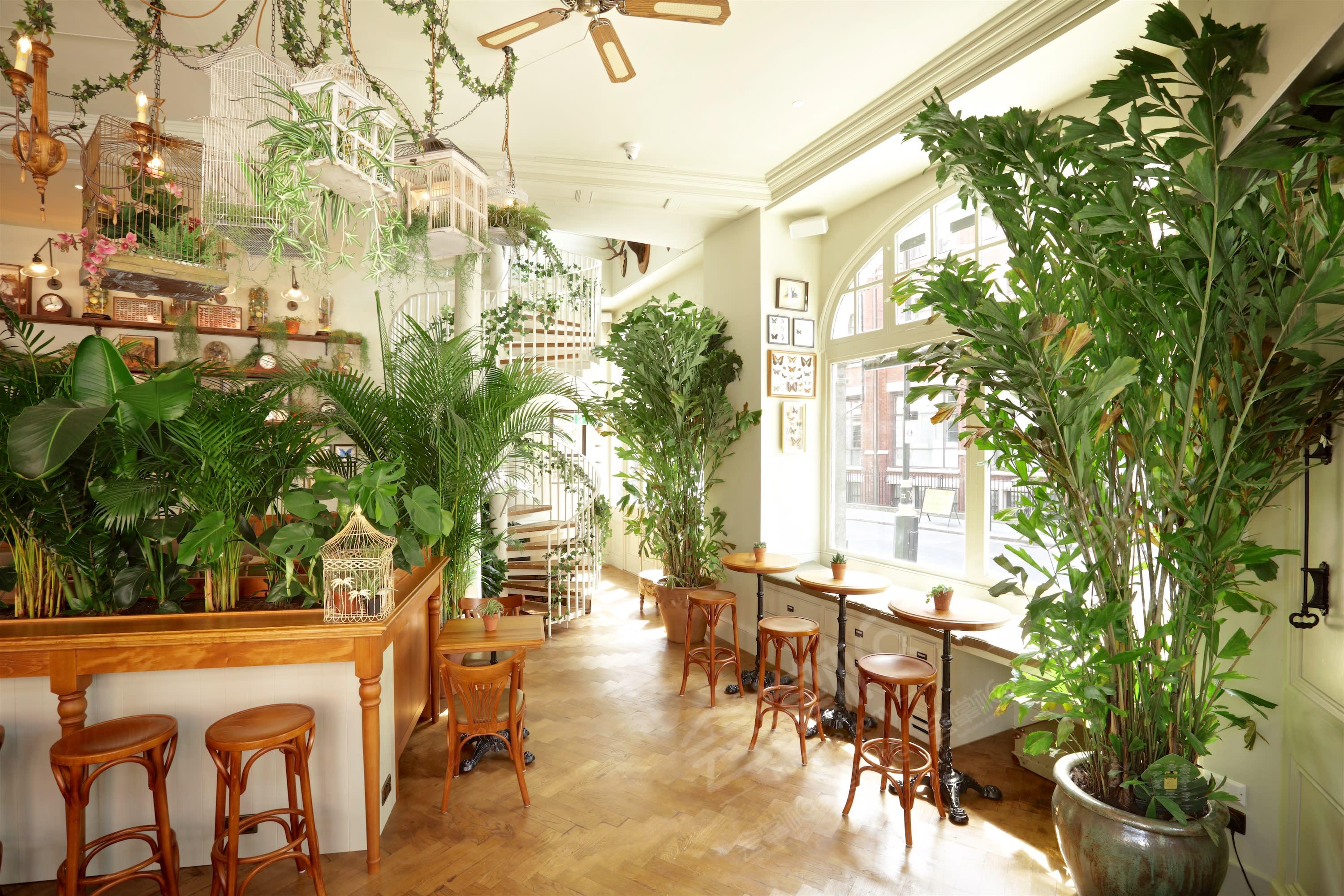 Fitzrovia's Floral Botanical Bar with Beautiful Interiors