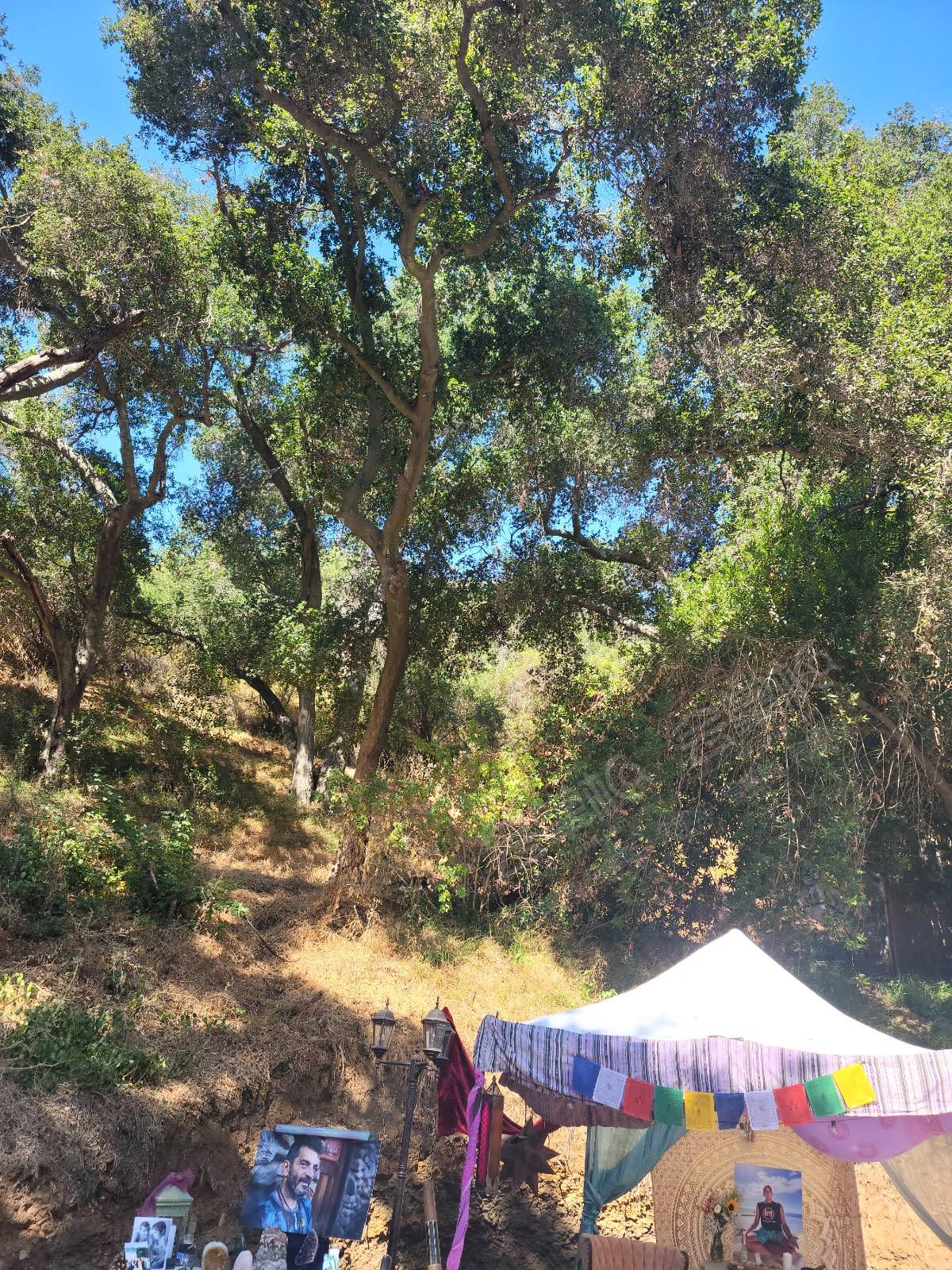 Lush Outdoor Event Space under Topanga Oak Trees
