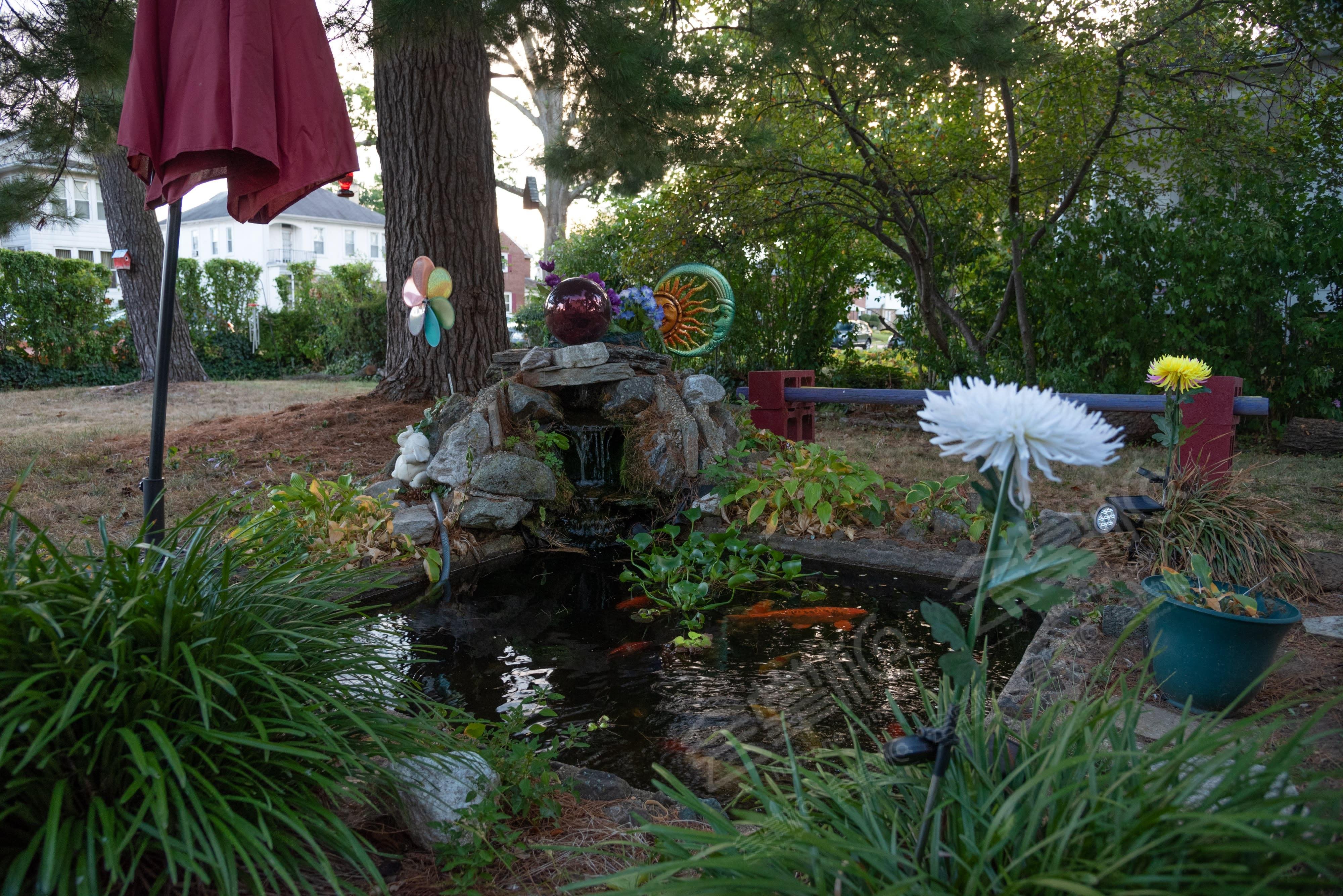 Tranquil Gardens for your next Event