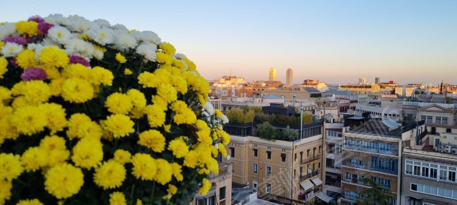 Terraza con vistas a toda Barcelona | Evento 40 Personas