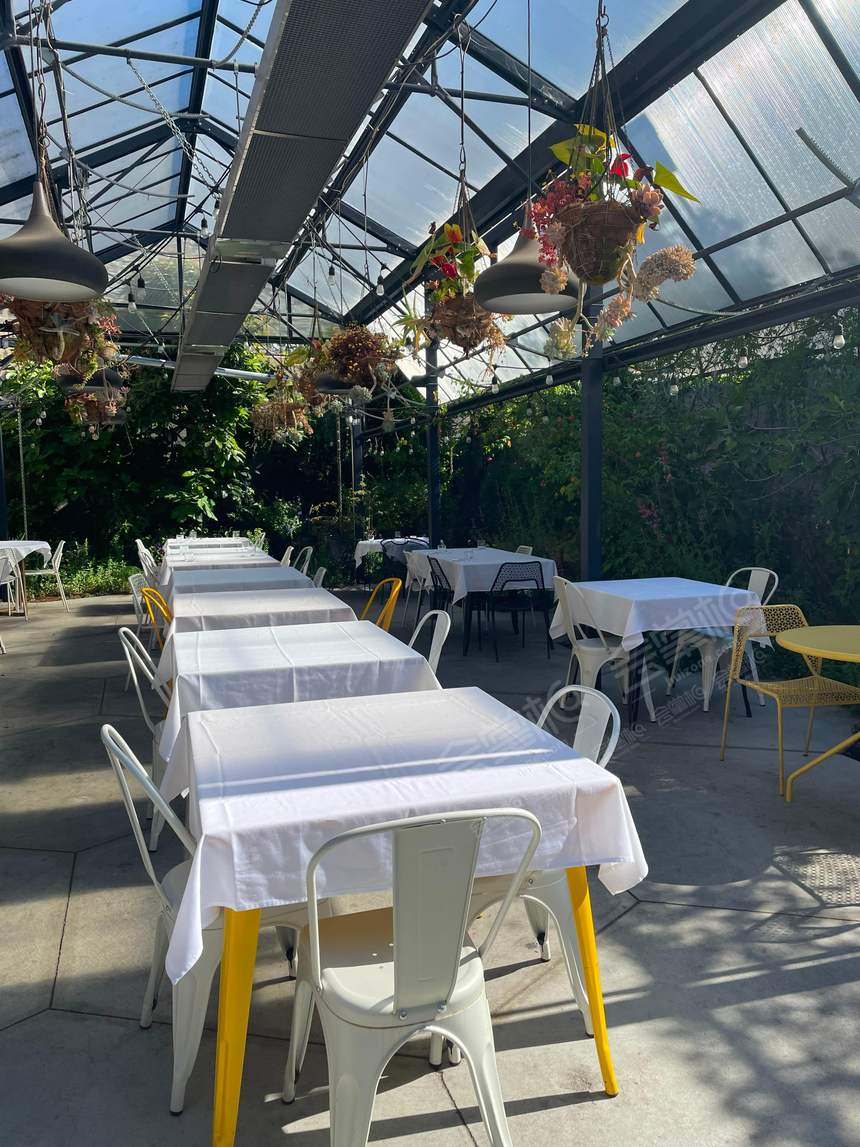 Beautiful Garden Cafe in North Berkeley