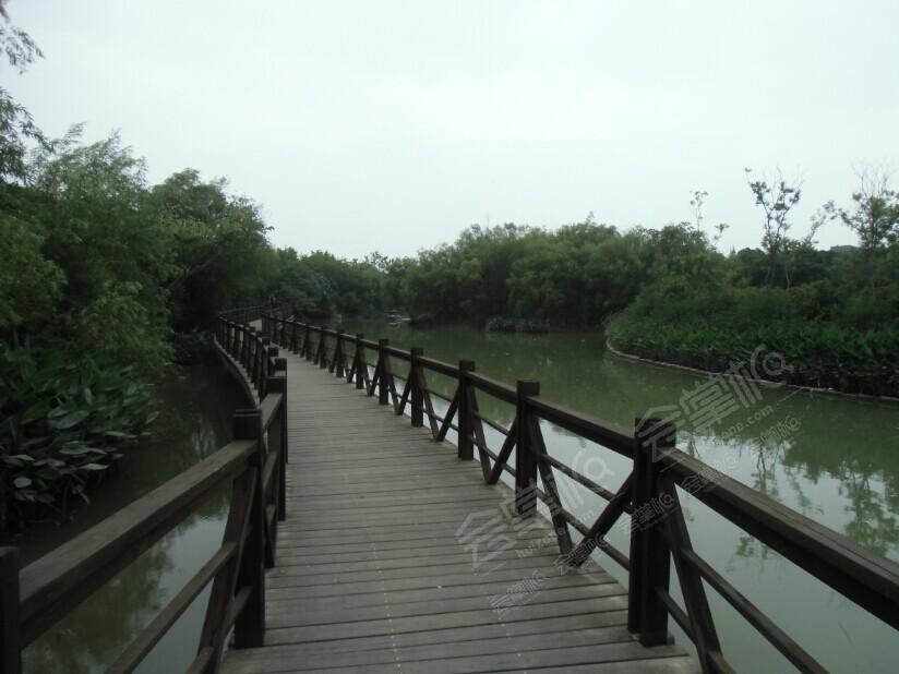 吴淞炮台湾湿地公园