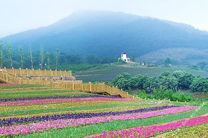 杭州农场山庄最大容纳500人的会议场地|杭州薰衣草庄园的价格与联系方式