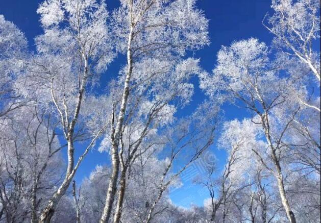 張家口山旮里旯私人野奢滑雪酒店場(chǎng)地環(huán)境基礎(chǔ)圖庫(kù)