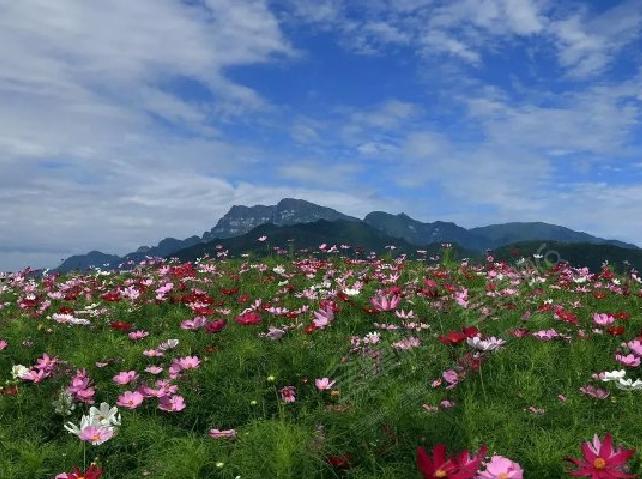 峨眉山輔特戴斯酒店場(chǎng)地環(huán)境基礎(chǔ)圖庫(kù)