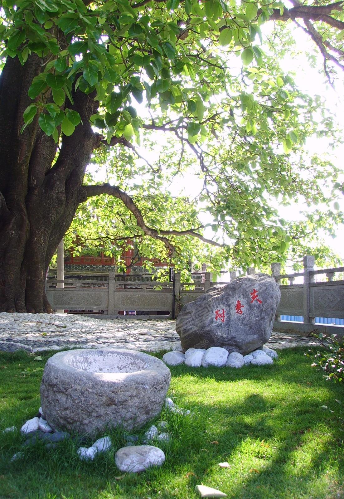 大理古榕會館場地環(huán)境基礎(chǔ)圖庫