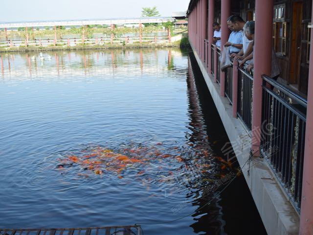 惠州泰榮度假村場(chǎng)地環(huán)境基礎(chǔ)圖庫(kù)